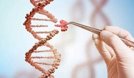 El futuro de la tecnología es la biología