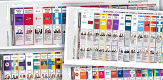 Elecciones 2025: una por una, las boletas únicas de papel que oficializó la Cámara Nacional Electoral