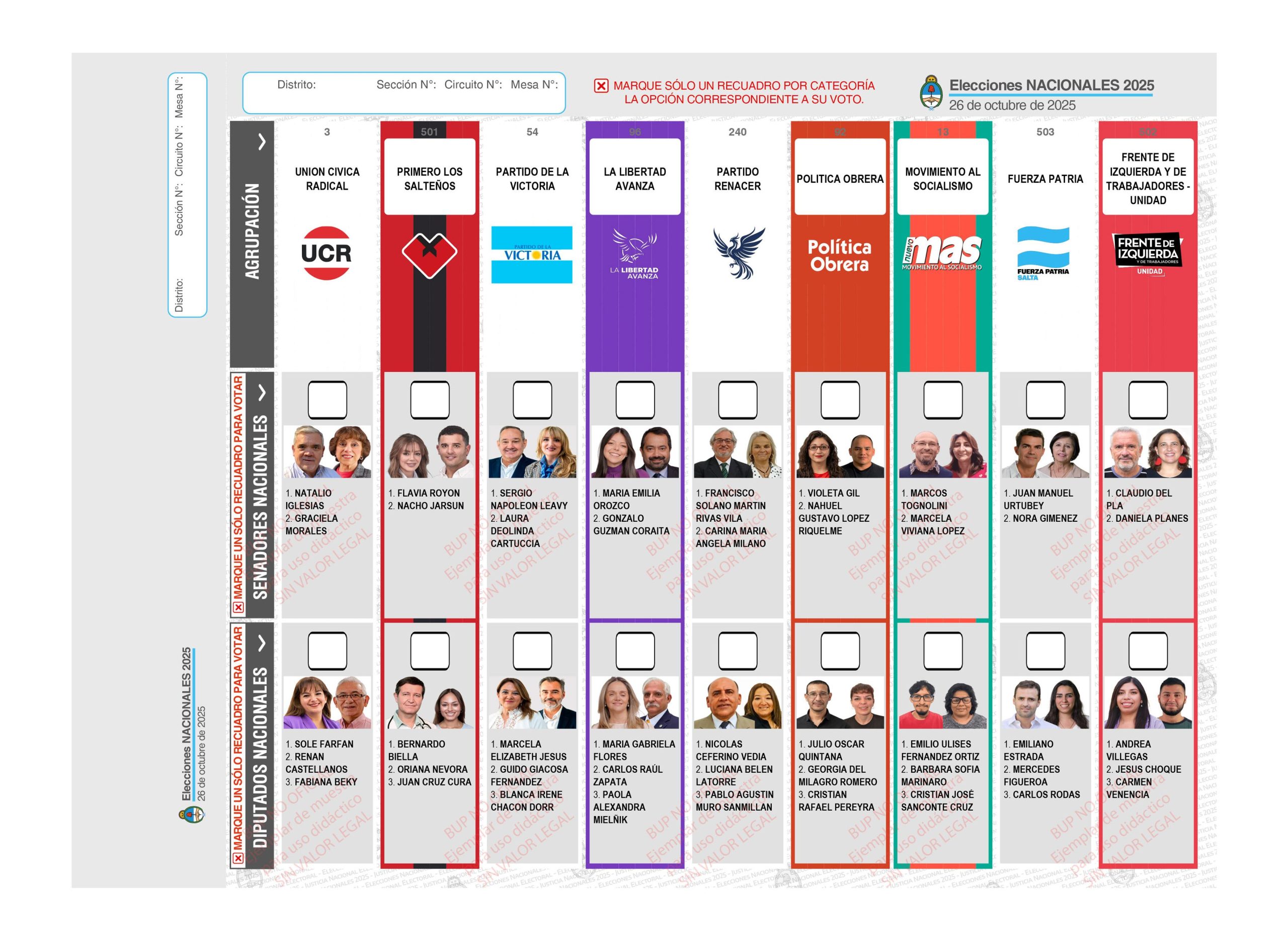 Elecciones 2025: así será la Boleta Única de Papel de Salta