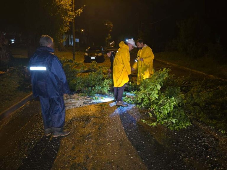 Techos volados y árboles caídos: los destrozos que dejó el avance de la tormenta en la provincia de Buenos Aires
