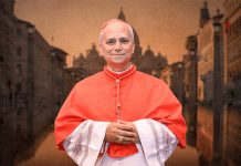 El Papa habló sobre la Inteligencia Artificial: “Corremos el riesgo de olvidar lo que es humano”