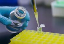 Biotecnología, tecnología estratégica del siglo XXI