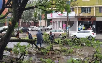 El temporal dejó graves daños en Tucumán y gran parte del NOA