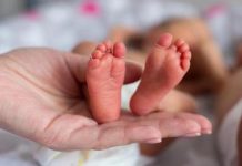 Día del niño prematuro: la tecnología como aliada para la supervivencia neonatal