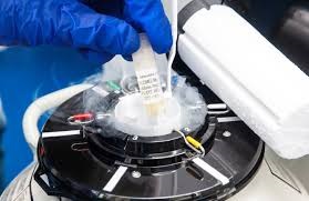 Todos los detalles de la nueva vacuna del Conicet para tratar el cáncer de piel