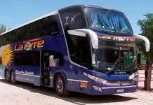 Violento robo a turistas argentinos en Chile: desvalijaron a 60 pasajeros