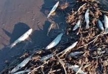 La empresa textil Coteminas despidió al 10 por ciento de su personal Sigue la sangría de despidos