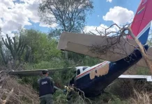 Captan en vuelo a una avioneta cargada con 130 kilos de cocaína que cayó en Salta, cerca del límite con Tucumán (video)