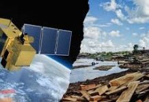 Así funciona Geobosques, la tecnología satelital que detecta la deforestación y vigila la Amazonía peruana