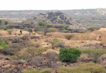 Hallazgo en Kenia retrasa los orígenes de la tecnología humana: 300 siglos fabricando las primeras “navajas suizas” de la humanidad