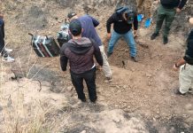 Avioneta: hallan otros 228 kilos de cocaína enterrada en una finca