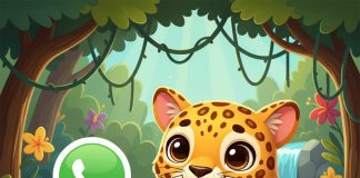 Cómo activar el “modo yaguareté” de WhatsApp