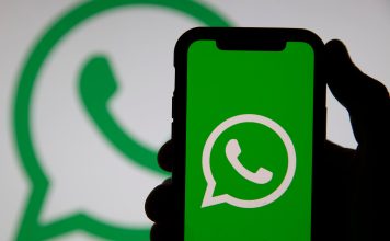 Cómo activar el “modo Zootopia” de WhatsApp