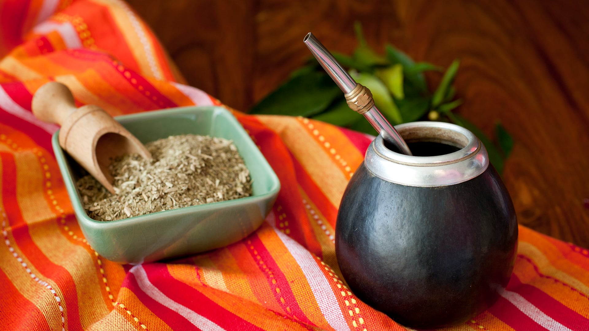 Cómo será la Fiesta Nacional de la Yerba Mate que se celebrará este fin de semana en Misiones