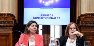 Con el foco puesto en Lorena Villaverde, el Senado debatirá los diplomas de legisladores electos