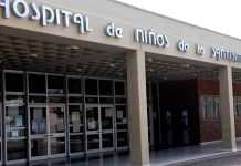 Córdoba: un niño de 10 años fue picado por un alacrán y permanece internado en terapia intensiva