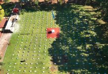 Detuvieron en Misiones a un camionero brasileño que transportaba más de nueve toneladas de marihuana