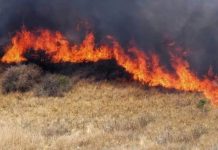 El Gobierno de Entre Ríos prohibió todo tipo de quemas hasta febrero ante el riesgo de incendios forestales