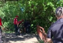 Encontraron nuevas bolsas con restos biológicos a una semana del hallazgo de un cuerpo desmembrado en Córdoba