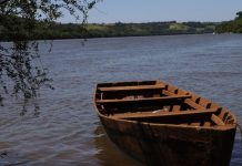 Expulsarán a los brasileños detenidos en Misiones: un intendente negó el vínculo con el Comando Vermelho