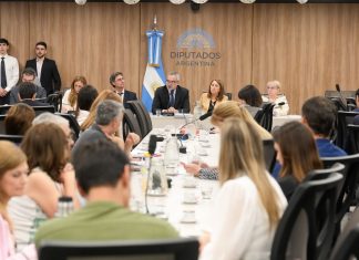 Fentanilo mortal: el juez Kreplak dijo en Diputados que “en el Estado no existe capacidad de monitoreo en tiempo real”