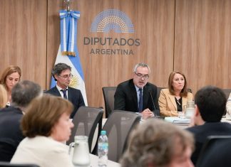 Fentanilo mortal: la comisión especial de la Cámara de Diputados analiza la mayor reforma sanitaria en 30 años