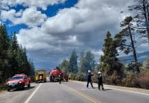 Fuerte incendio forestal en El Bolsón: los brigadistas intentan controlar el fuego y hay preocupación por los fuertes vientos