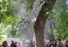 Funeral tumbero en La Plata: la despedida a un ladrón de 15 años asesinado en un ataque a tiros