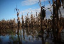 Inundaciones en campos bonaerenses: las obras inconclusas abren otro foco de conflicto entre Nación y PBA
