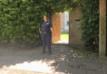 La Plata: hallaron muerta a golpes a una reconocida psiquiatra en su casa y sospechan de un amigo de la víctima