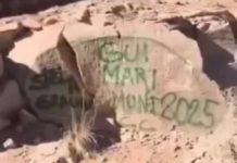 Mendoza: un grupo de ecologistas realizó una limpieza en las rocas de montaña para borrar grafitis