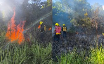 Misiones emitió una alerta por el alto riesgo de incendios en la provincia y llamó a extremar los recaudos