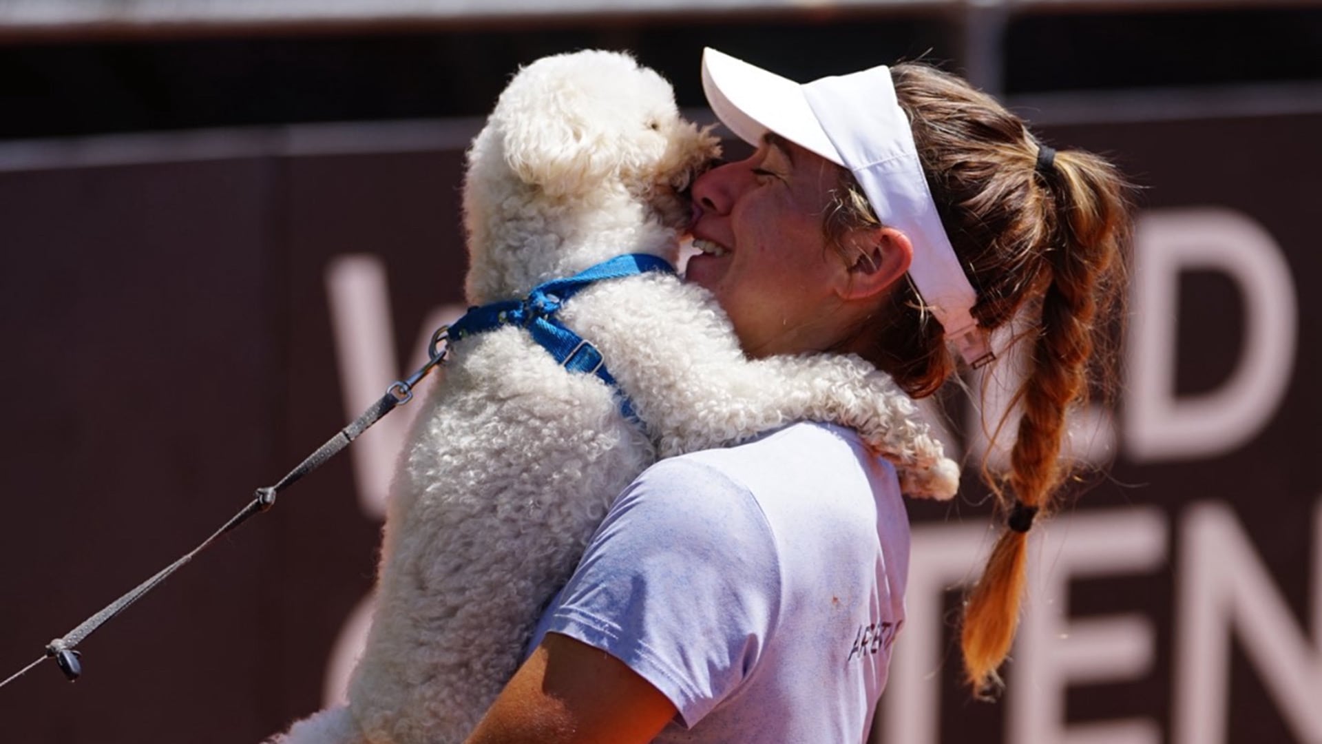 Tino, el perro de Solana Sierra, debutó con victoria en la Billie Jean King Cup: “Cada vez que me viene a ver, gano”