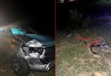 Trágico accidente en Gualeguay: un ciclista murió tras ser embestido por una camioneta en la Ruta 11