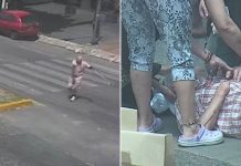 Un hombre de 84 años fue embestido por un colectivo cuando cruzaba la calle: el momento del impacto