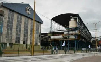 Un grupo chileno asumiría el mando del ingenio Concepción