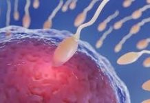 Fertilización in Vitro e Inteligencia Artificial: cómo la tecnología cambiará la forma de tener hijos