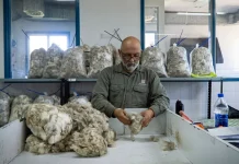 El instituto que nació para acercar la ciencia y la tecnología a los productores rurales cumplió 60 años en Bariloche