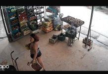 Descontrol en La Plata: una joven atacó a una mujer y destrozó una verdulería en la que buscó refugio