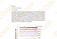 La biotecnóloga que dio una exposición antivacunas tenía un estudio del Conicet que desmentían sus dichos