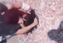 La brutal pelea entre dos chicas previo al ataque a los maestros en una escuela: “Por meterte con macho ajeno”