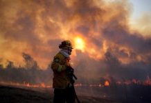 La Corte ordenó implementar acciones urgentes para preservar el Delta del río Paraná de los incendios
