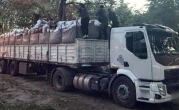 Secuestraron más de 5 toneladas de hojas de coca en dos operativos en Salta y Córdoba