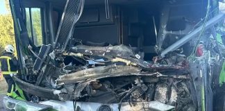 Tragedia en la Ruta 22: murió el chofer de un colectivo tras chocar contra un camión