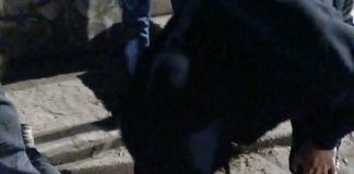 Un policía atropelló a un motociclista en Morón, se escapó y luego mató al primo de la víctima