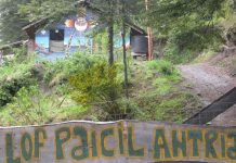 Una comunidad mapuche aseguró que resistirá un inminente desalojo y crece la tensión en Villa La Angostura