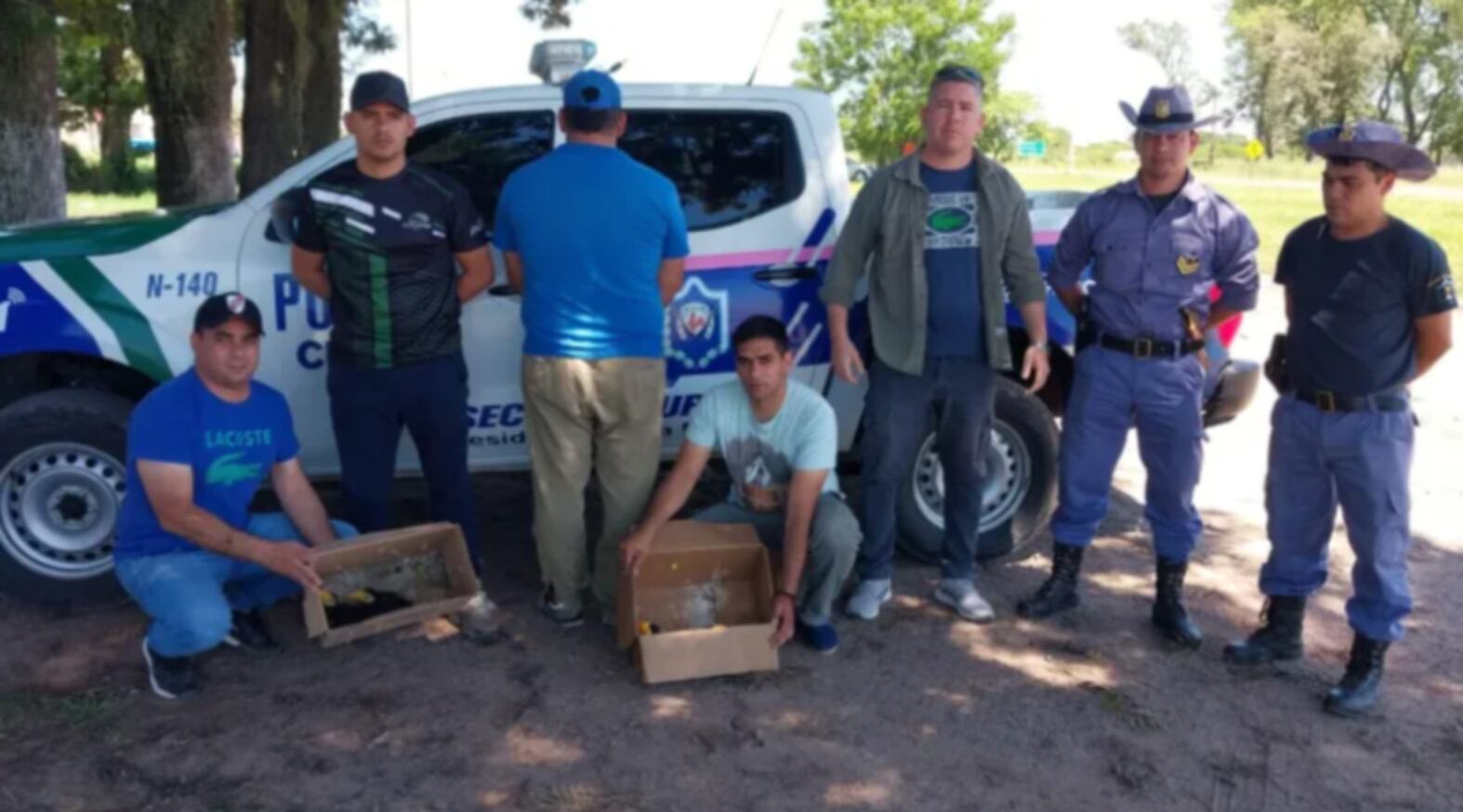 Vendía pichones de tucanes por WhatsApp y fue atrapado al caer en una trampa de la Policía de Chaco
